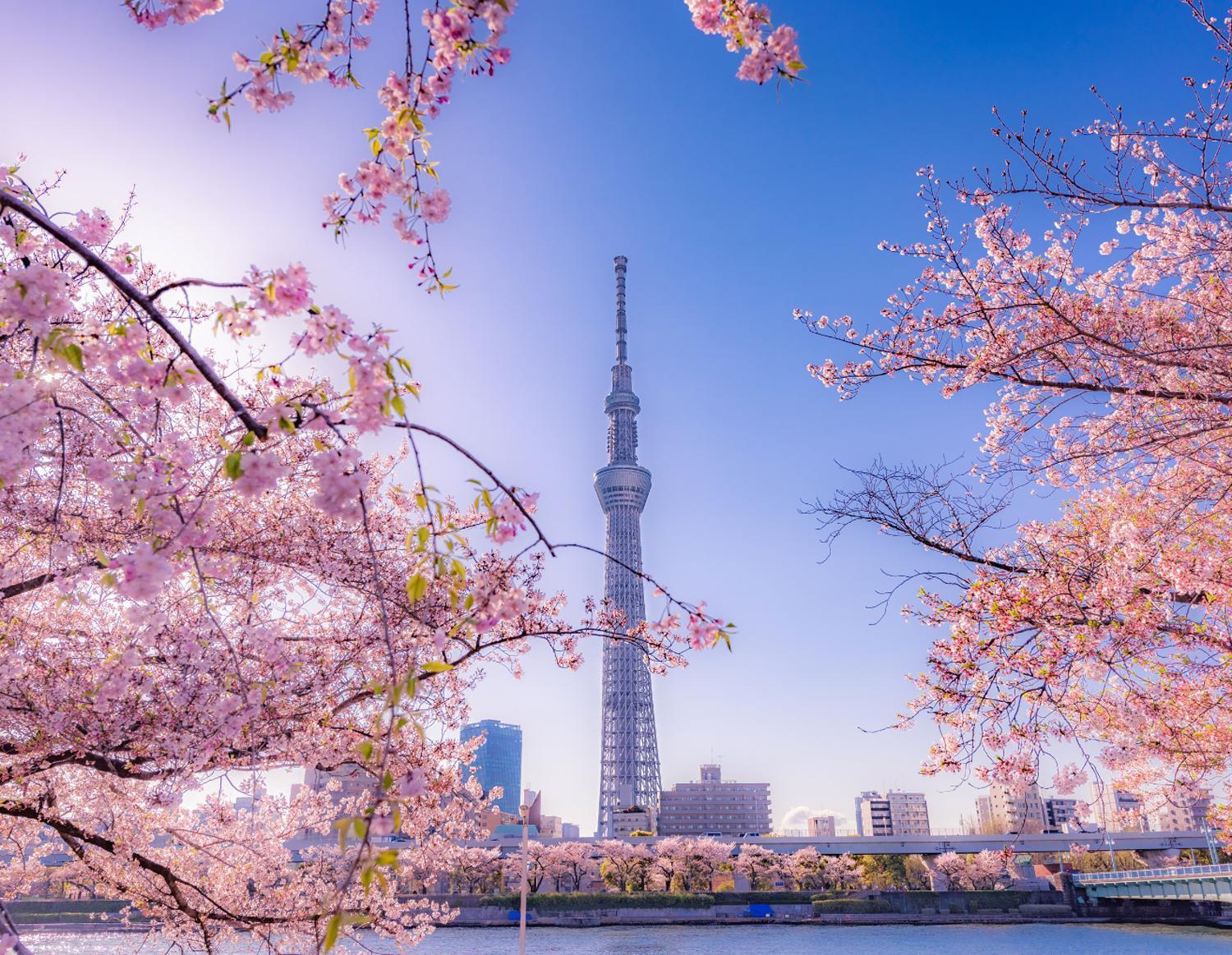 Grand Tree Hotel Skytree View Rooftop Asakusa Walk Tokyo Eksteriør bilde